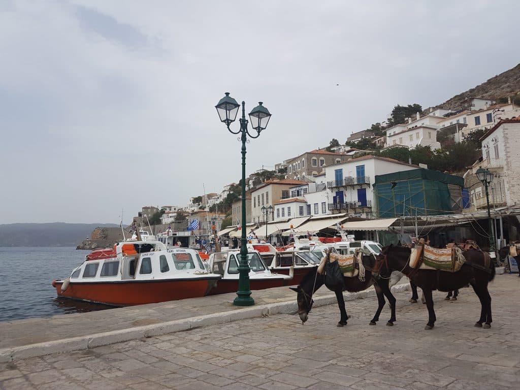 Hydra