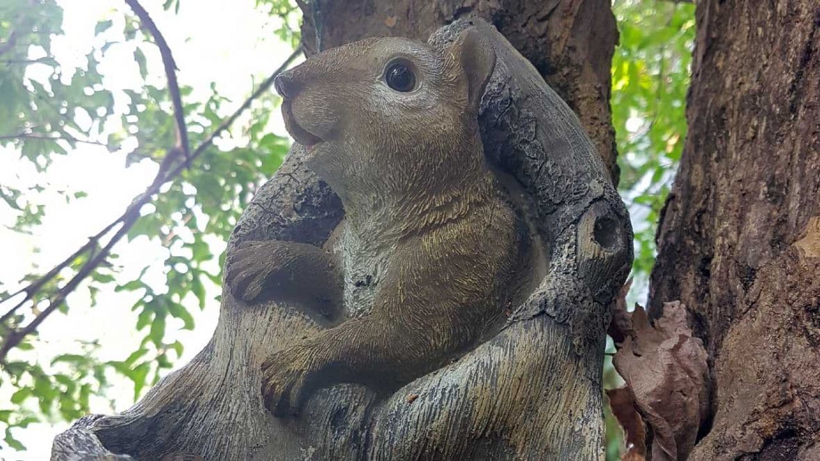 Pançolu Bebeğe Mektup