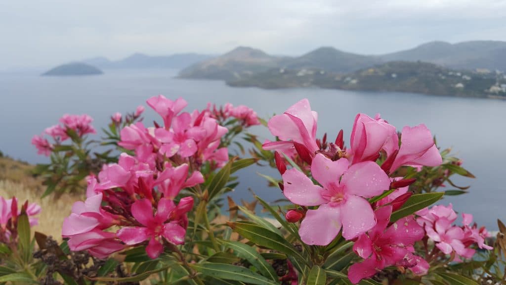 Leros